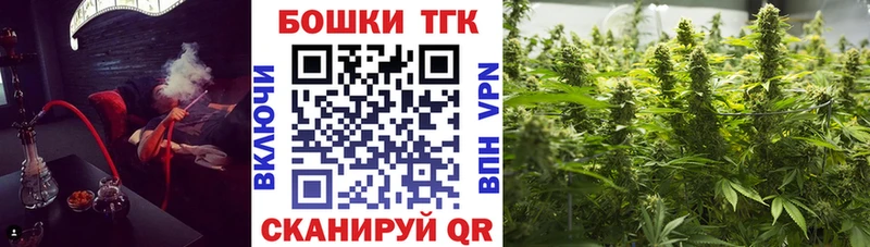 Купить  Данков  Канабис конопля 